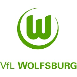 VFL wolfsburg logo