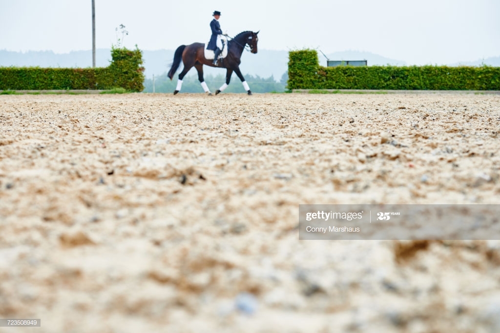 equestrian Automated Arena Cover