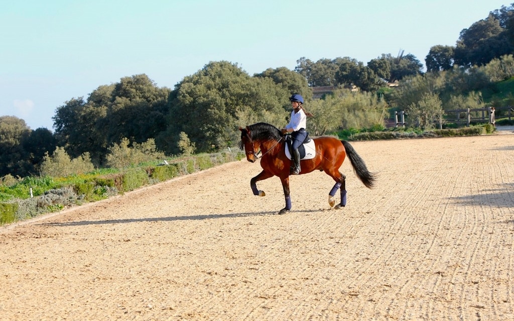 Matchsaver equestrian arena protection covers