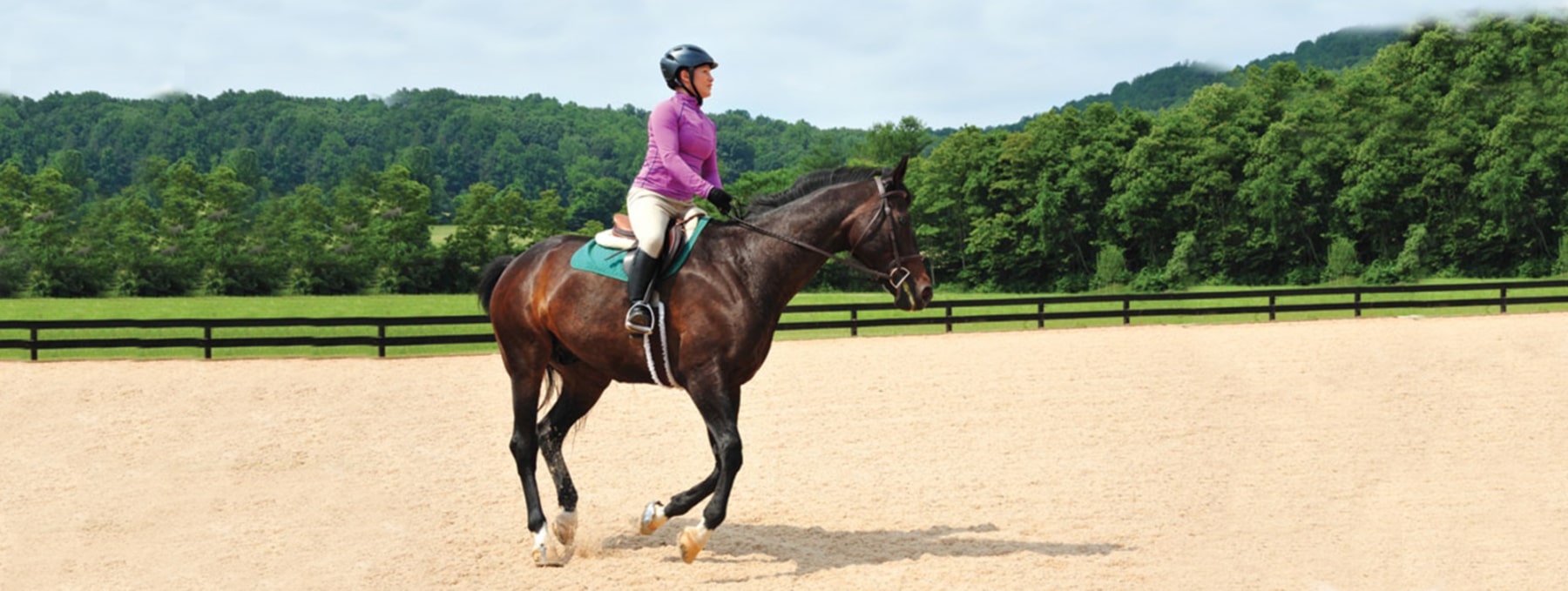 equestrian arena protection covers